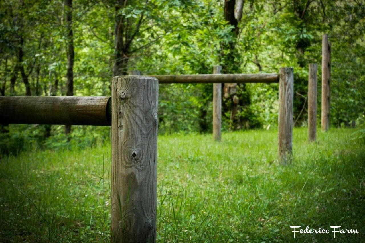 Camping Grondola - Federicofarm Pontremoli Exterior foto